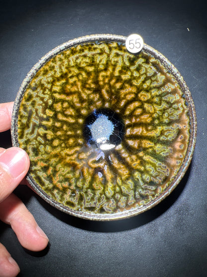 Robertxxx (New - May)