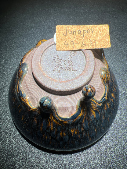 Junxxerxxx (February)