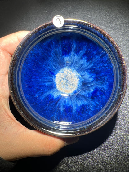 Master Pan (November 9)