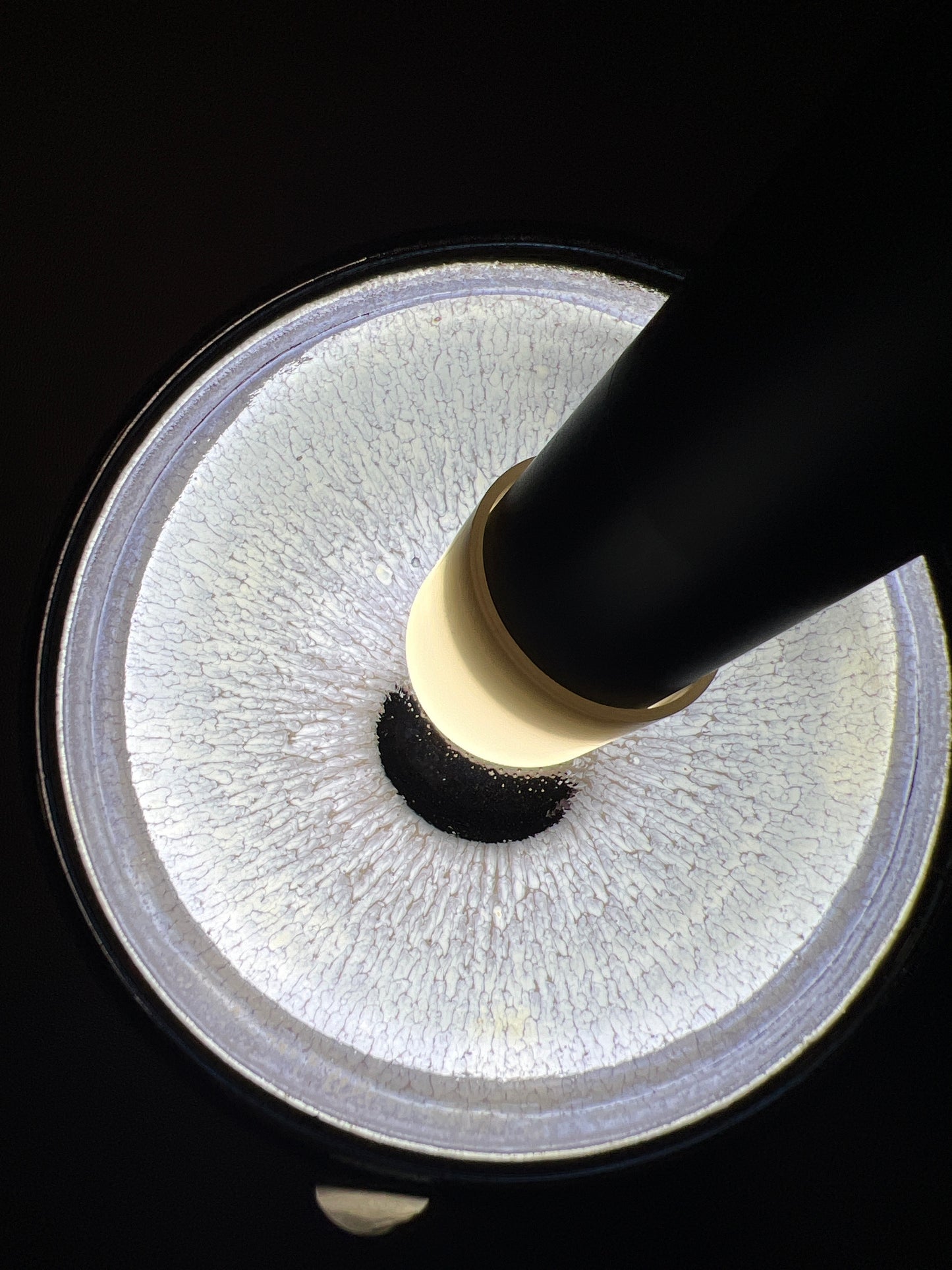 Robertxxx (New - May)