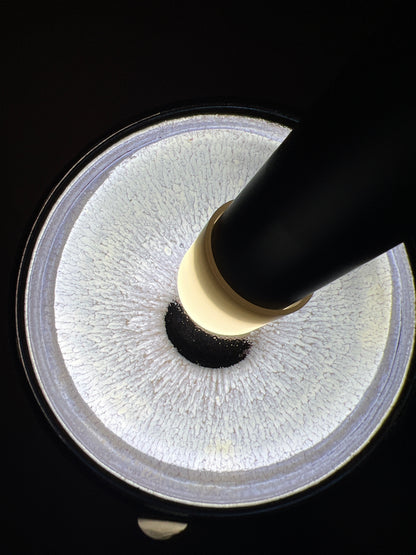 Robertxxx (New - May)