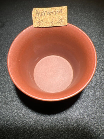 Marxxtina (November)