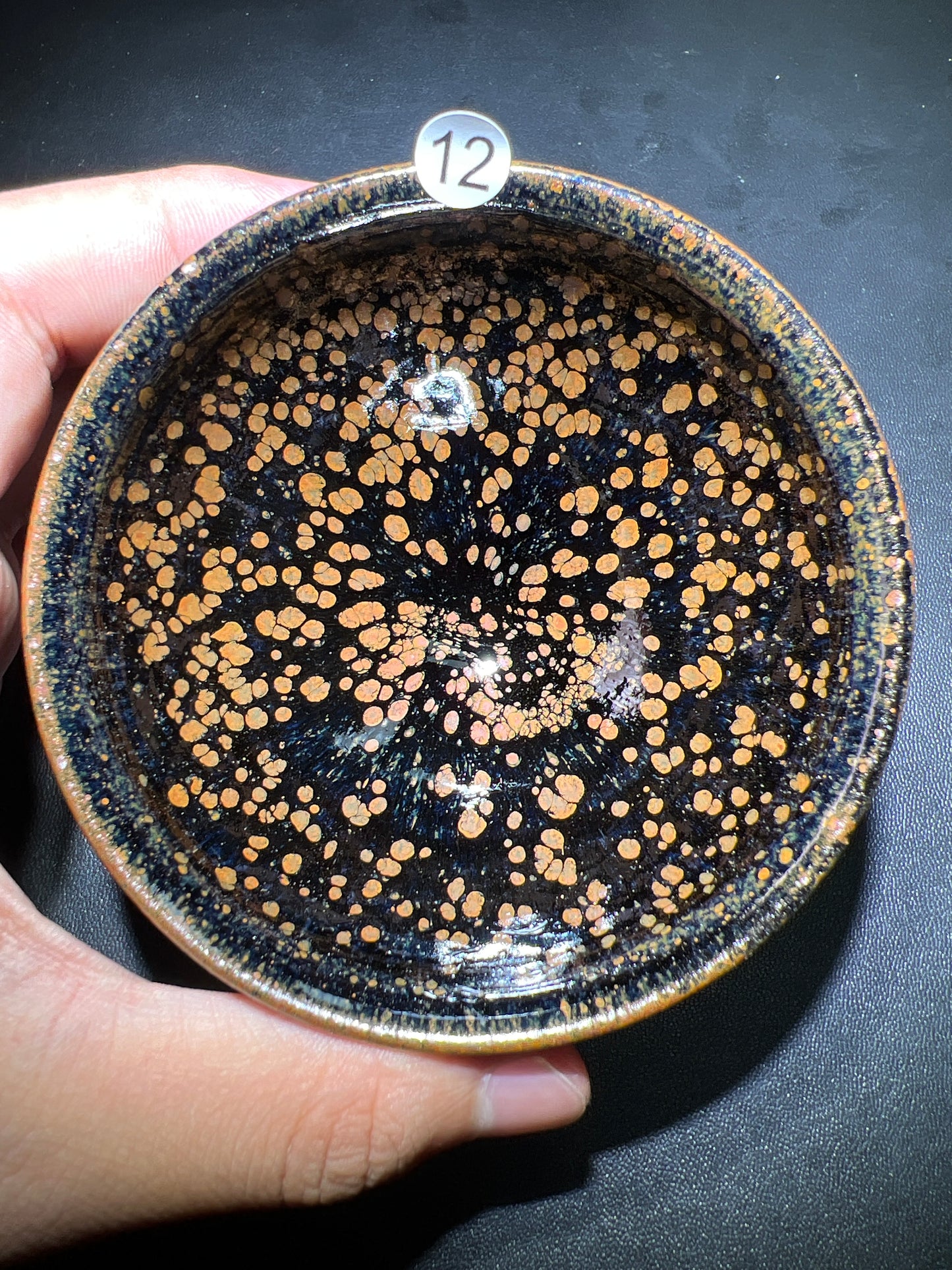 Robertxxx (New - May)