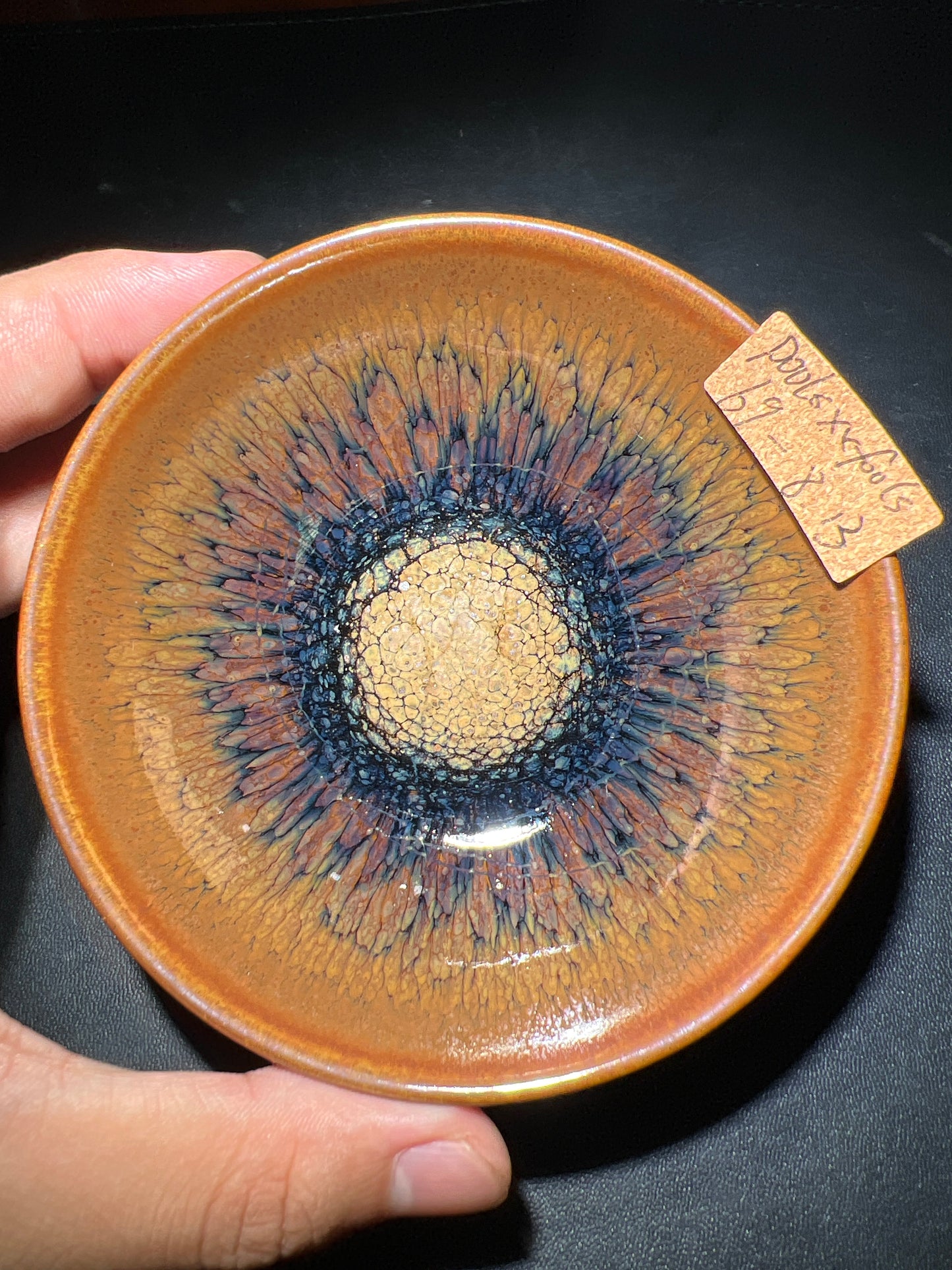 Poolsxxfools (April)