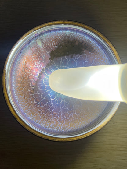 Camillexxx (February)