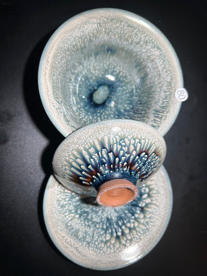 Monroexxxxles (March)