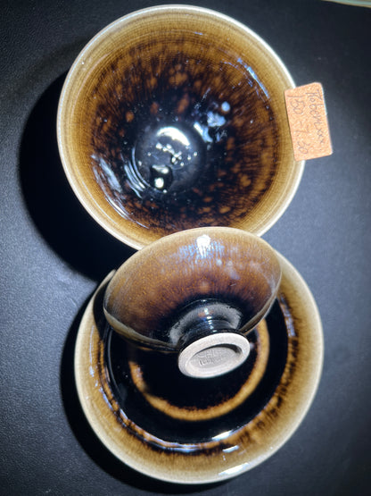 Robertxxx (New - May)