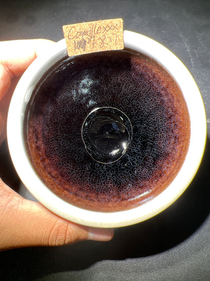 Camillexxx (February)