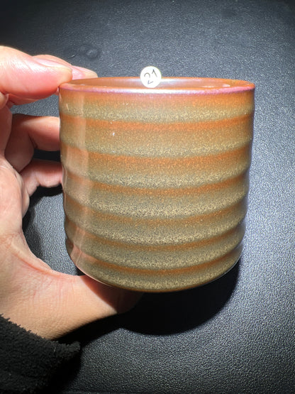 Master Zhao (November 12)