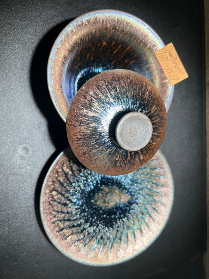 Camillexxx (February)