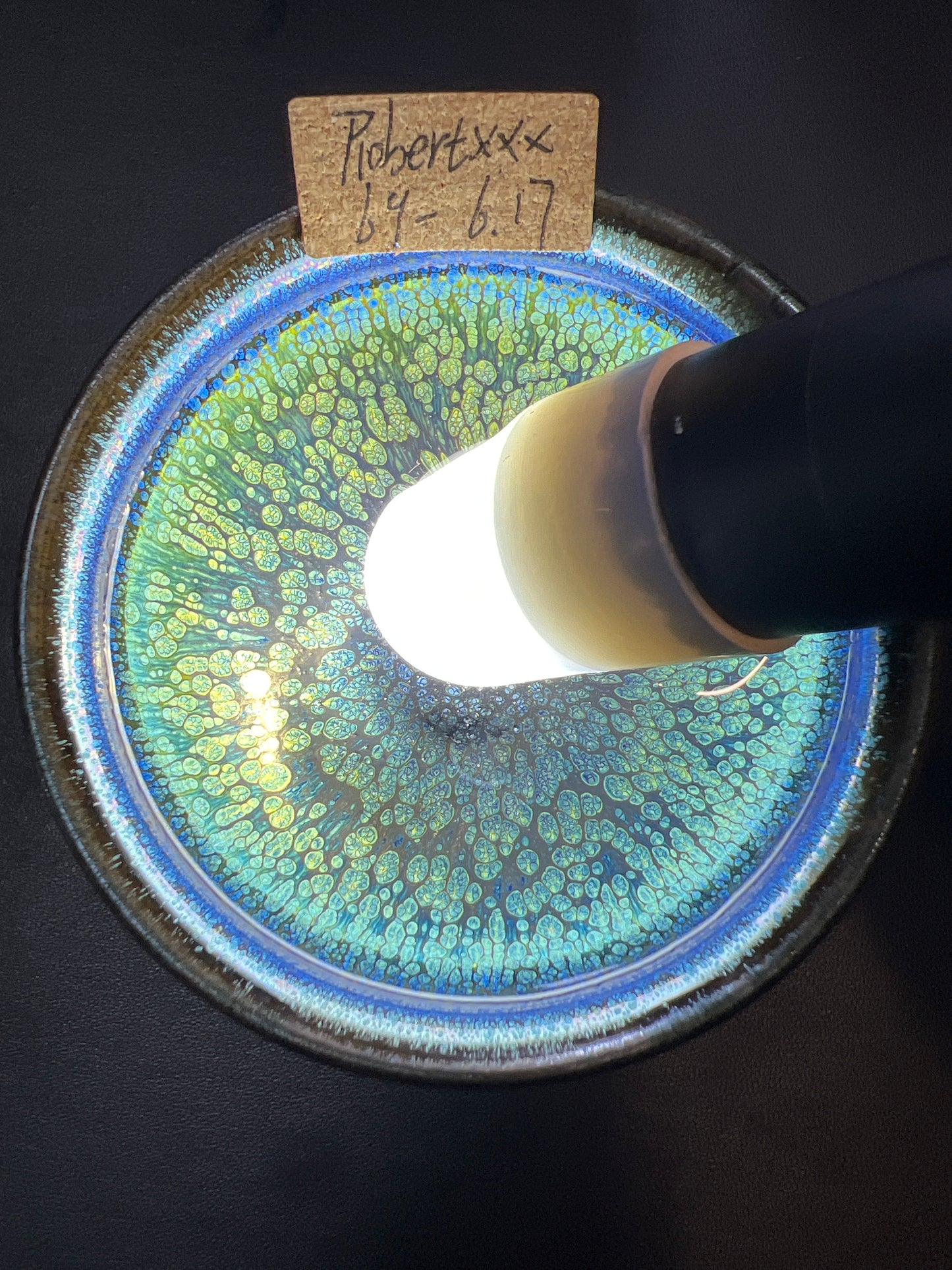 Robertxxx (New - May)