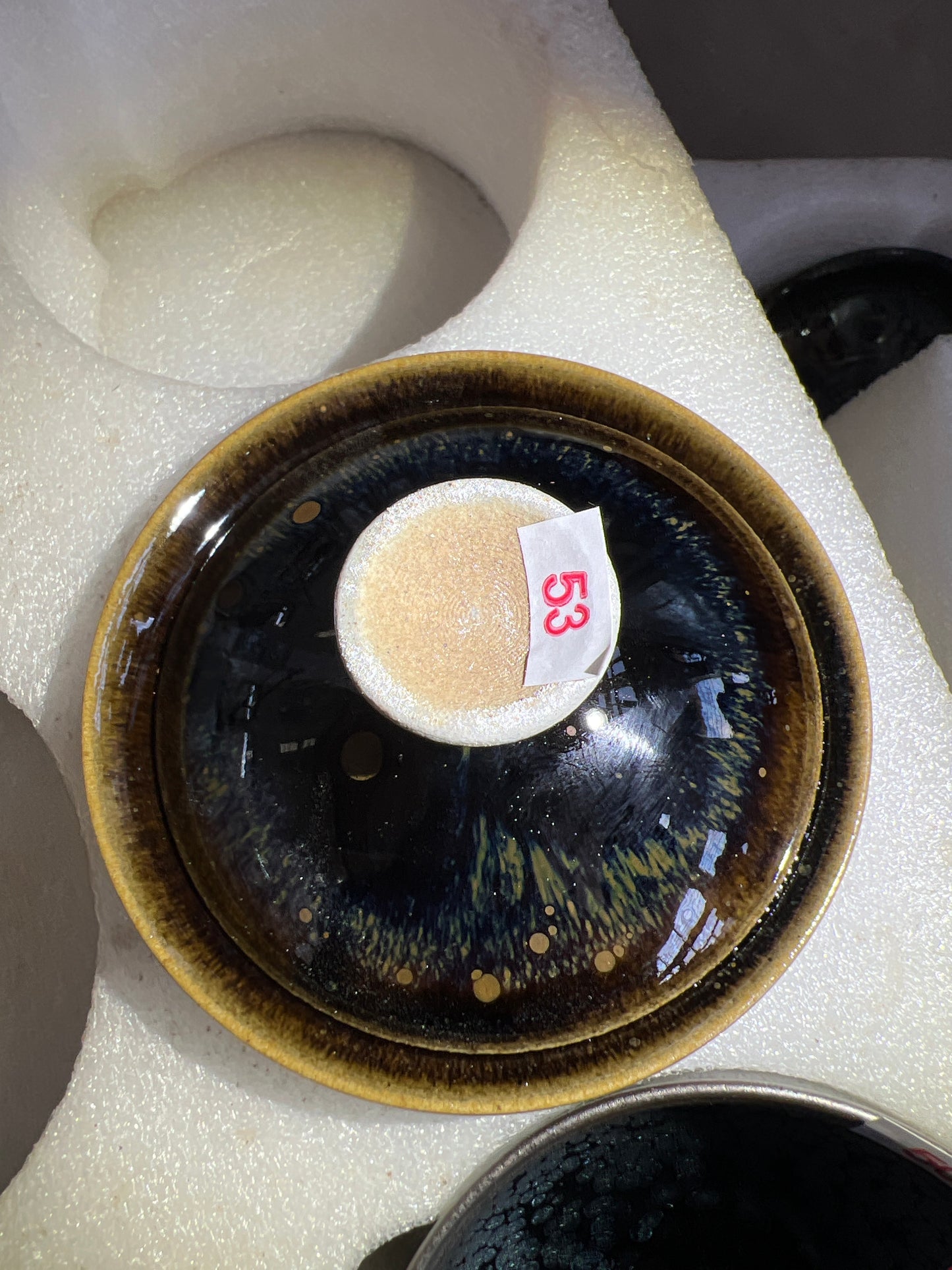 Camillexxx (February)