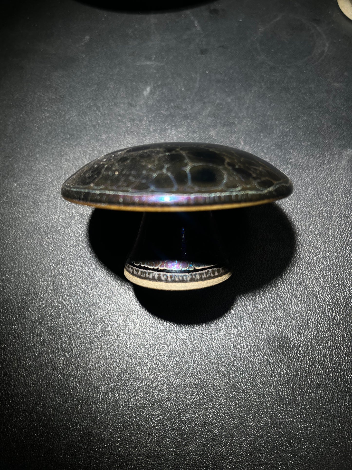 Robertxxx (New - May)