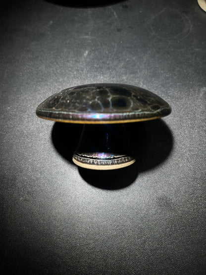 Robertxxx (New - May)