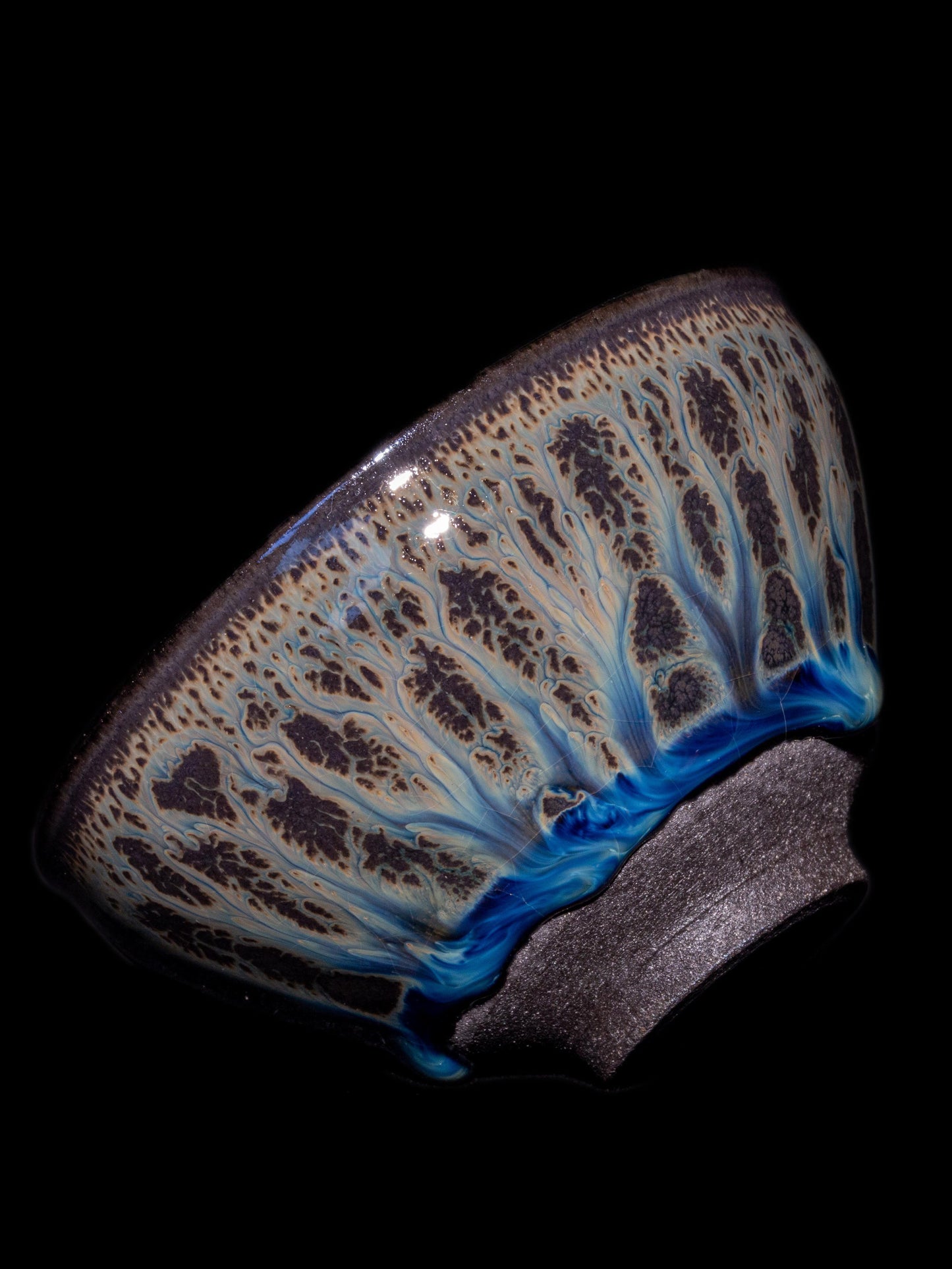 Master Pan (November 9)